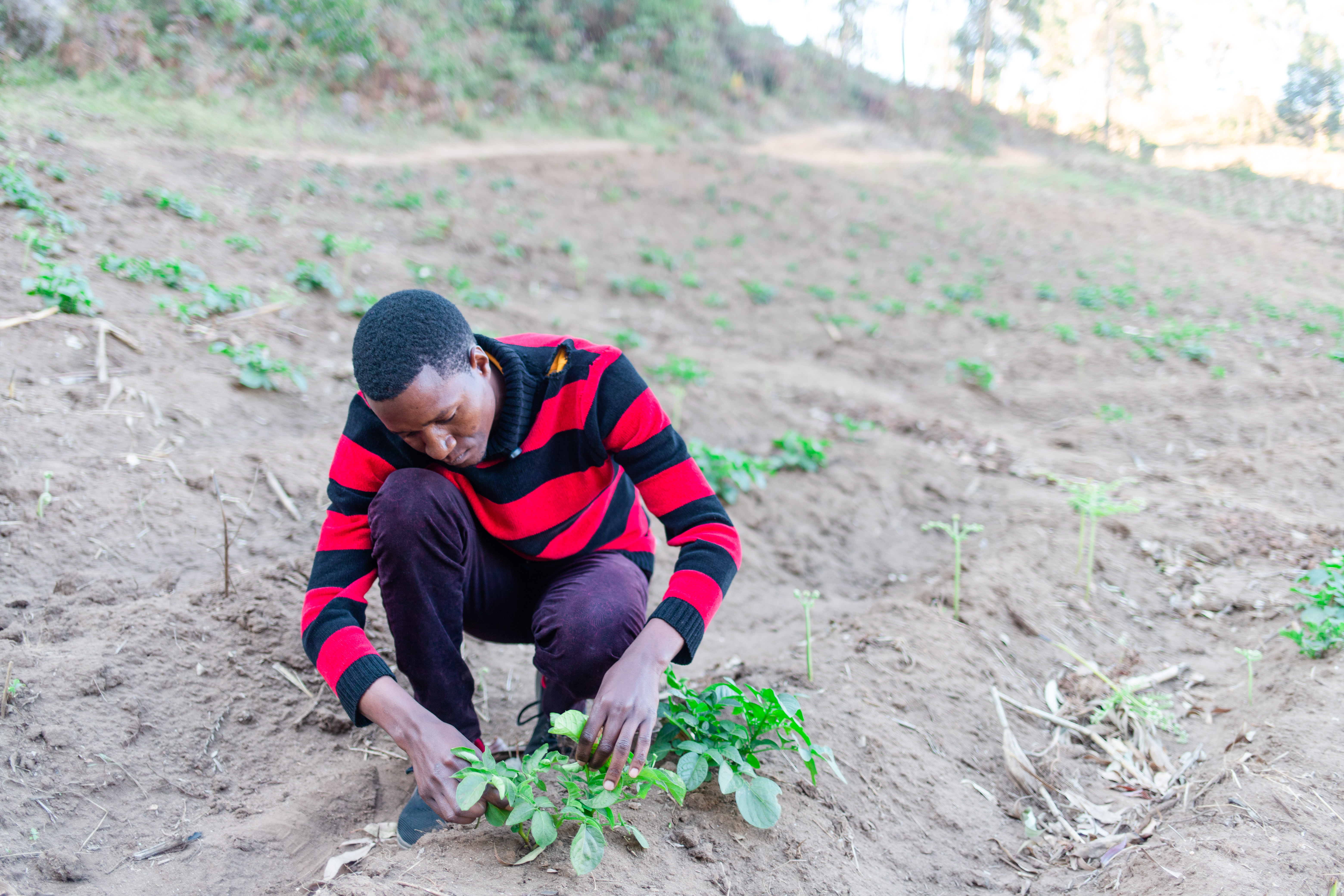 Tanzanian Women Group